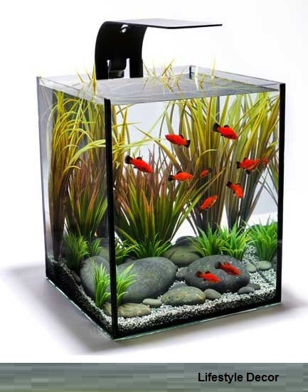 interior decor-fish tank