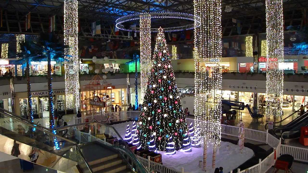 christmas lightin-6