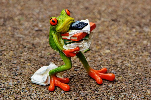 SERVICES-HOME PAGE-MULTI-general-frog-1339892__340