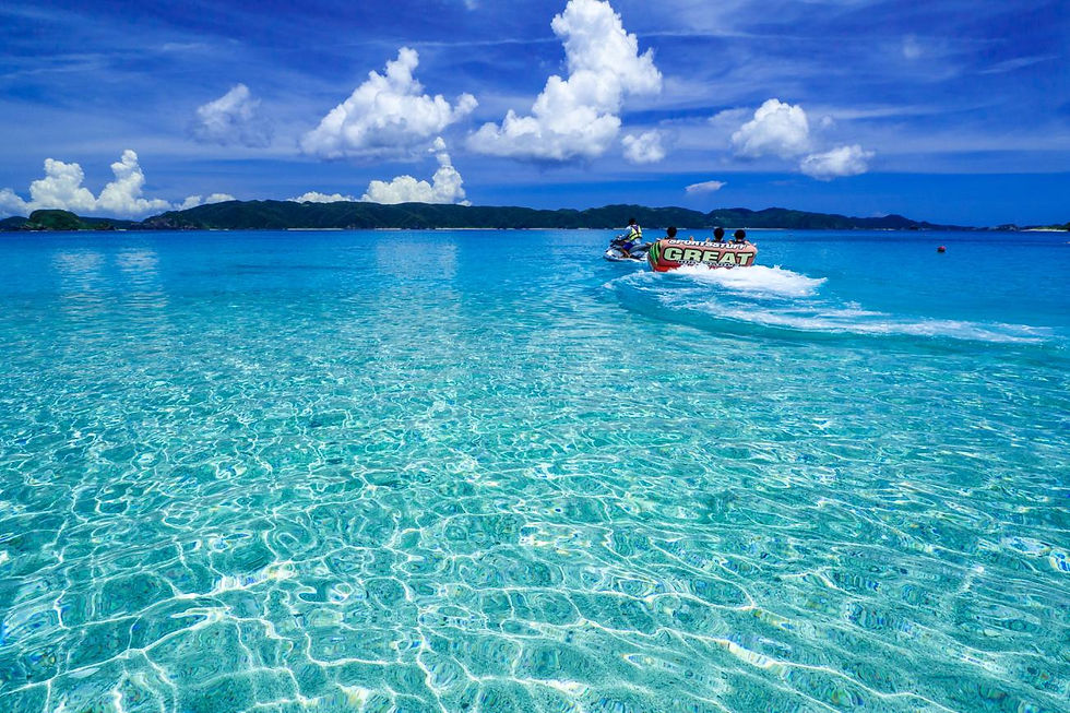 Winter in the tropical Okinawa Japan