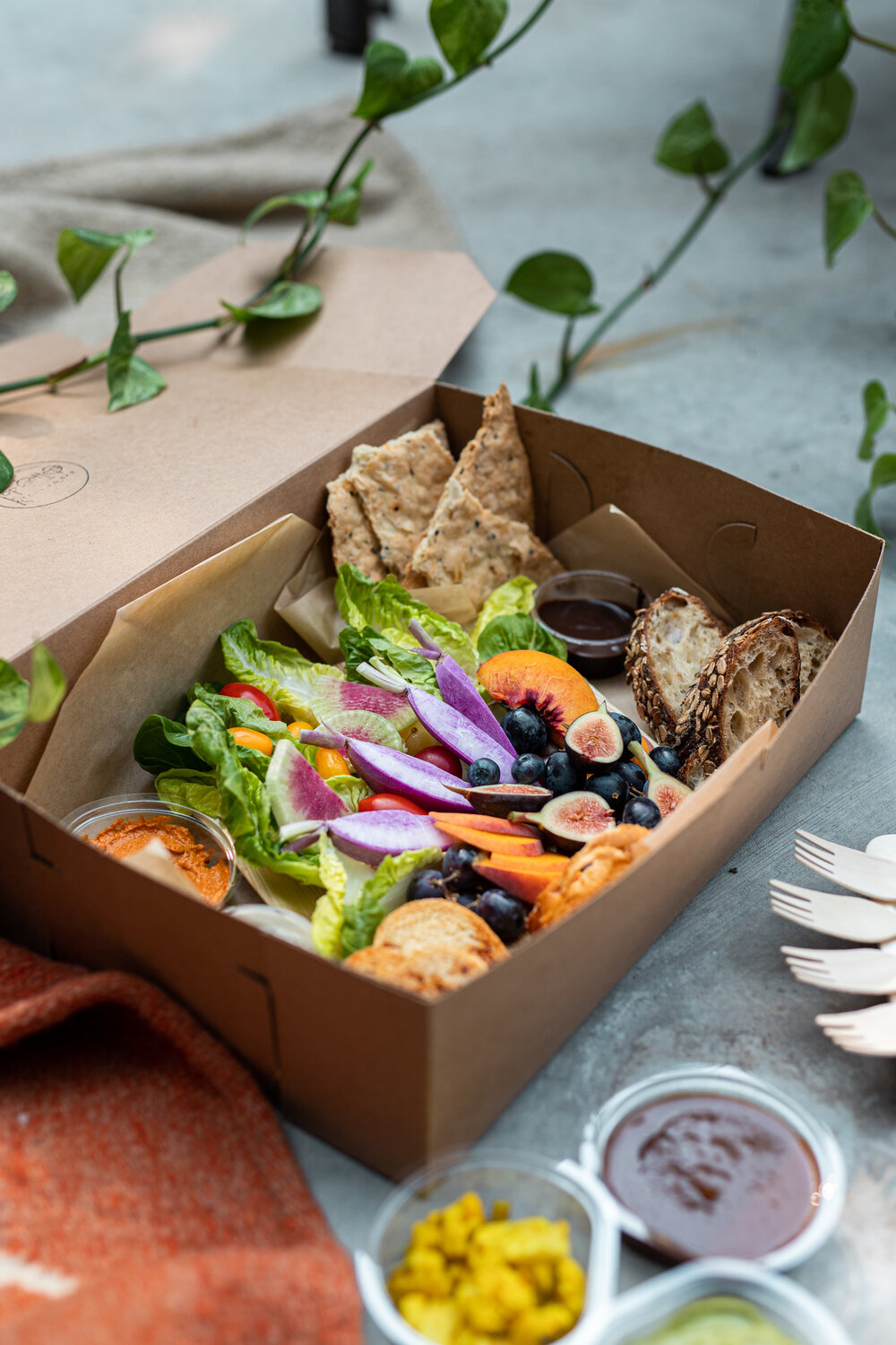 Arranged Food and Objects