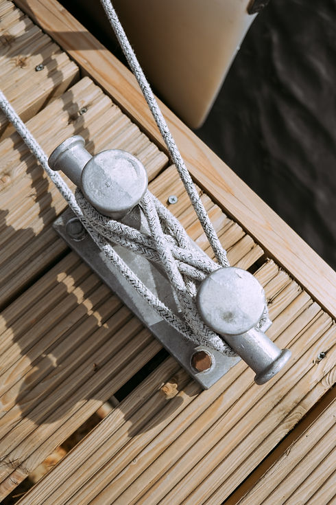 pexels-cottonbro-4934672.jpg
