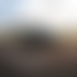 APDR ASCA Drone Image