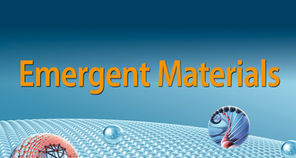 A/P Rosa joins the Emergent Materials as Associate Editor