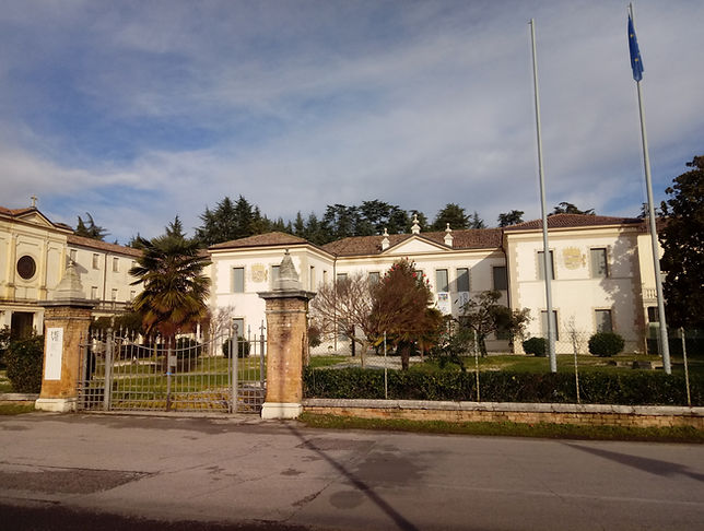 VILLA PISANI (1).jpg