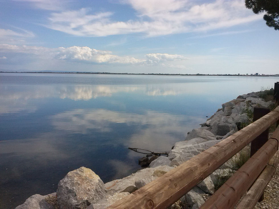 verso grado