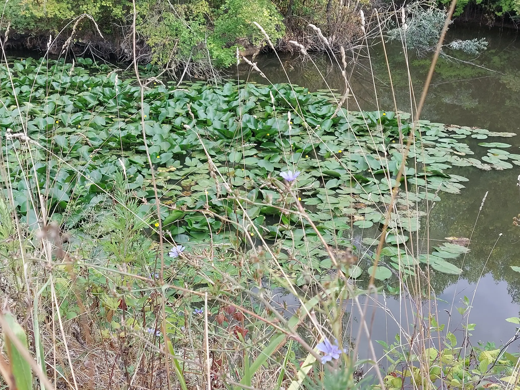 1828e051b10.webp