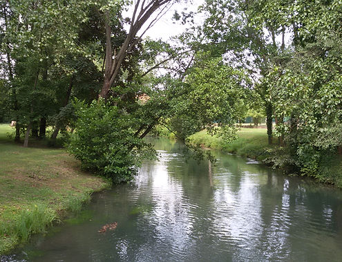 MELMA AL PARCO DI SILEA (3).jpg