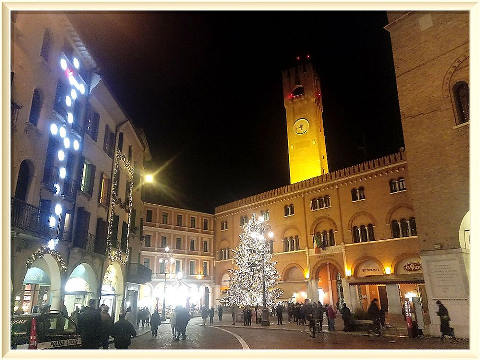 PIAZZA DEI SIGNORI.jpeg