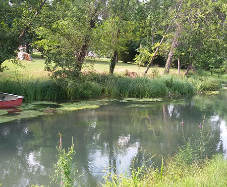 MELMA AL PARCO DI SILEA (4).jpg