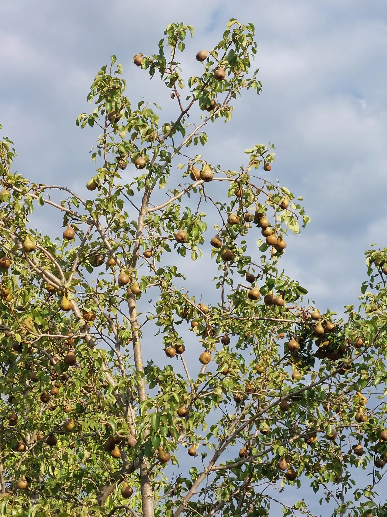 1828e0554f9.webp
