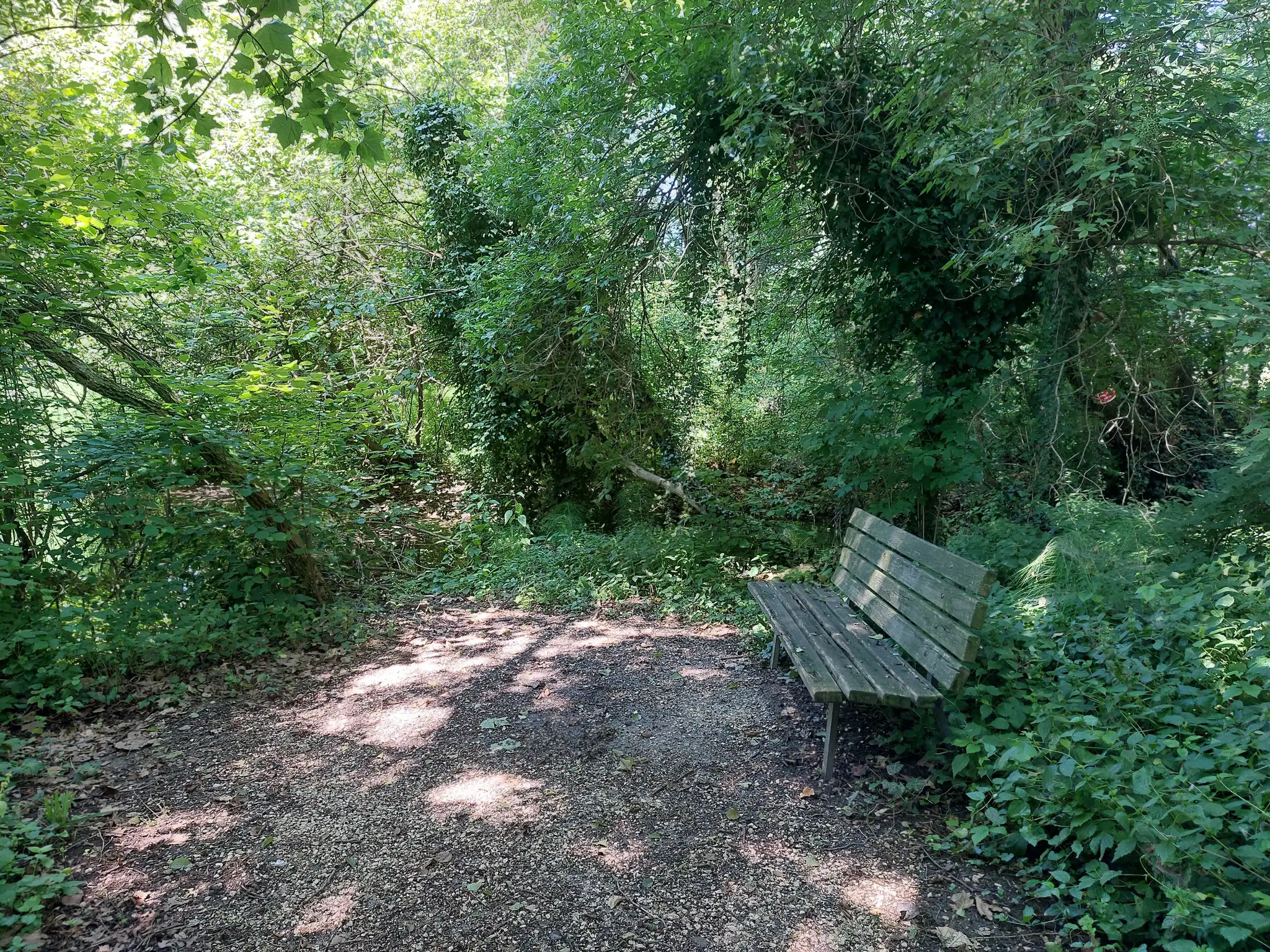 188aa09818c.webp