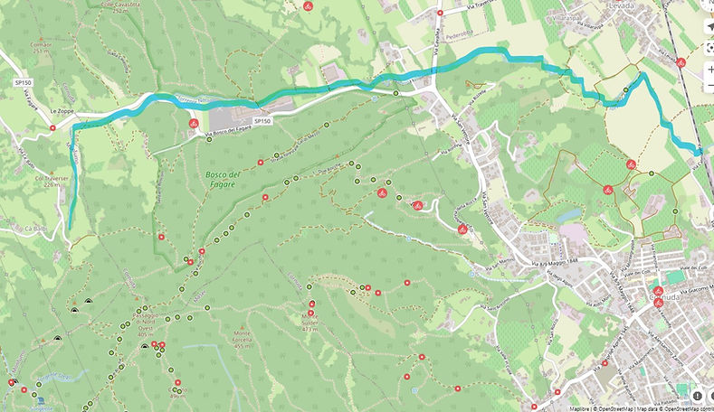 IL CORSO DEL NASSON.jpg