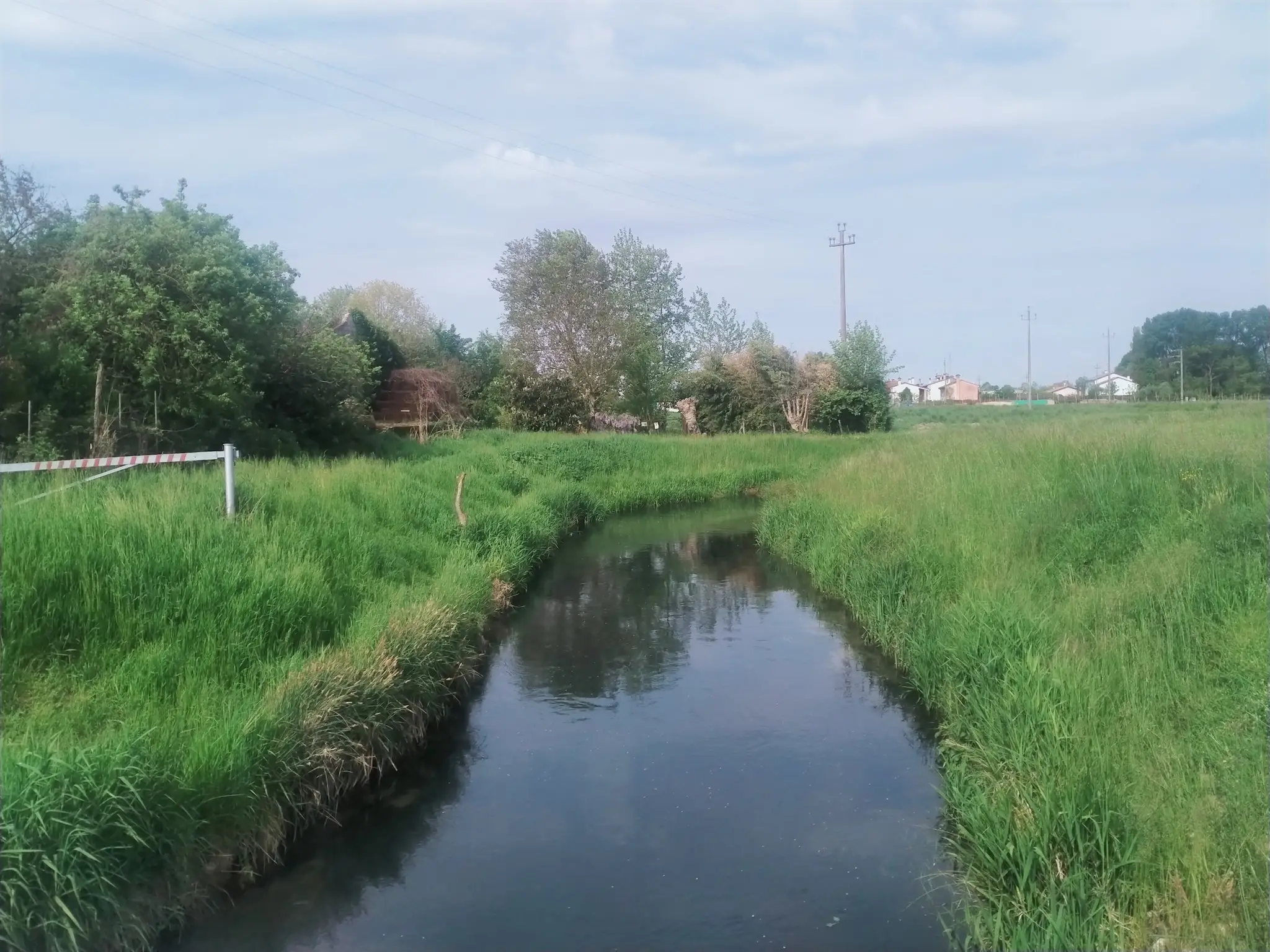 1807f58d5f5.webp