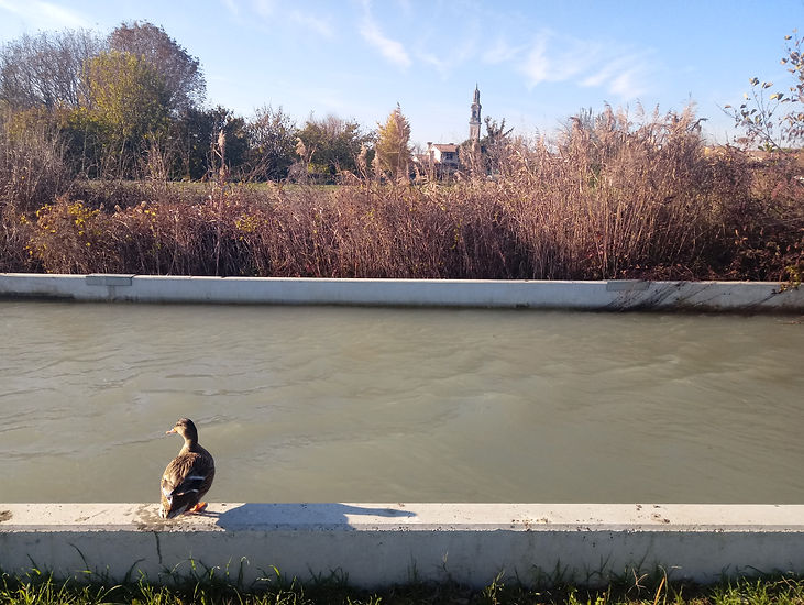 PIAVESELLA A FONTANE (3).jpg