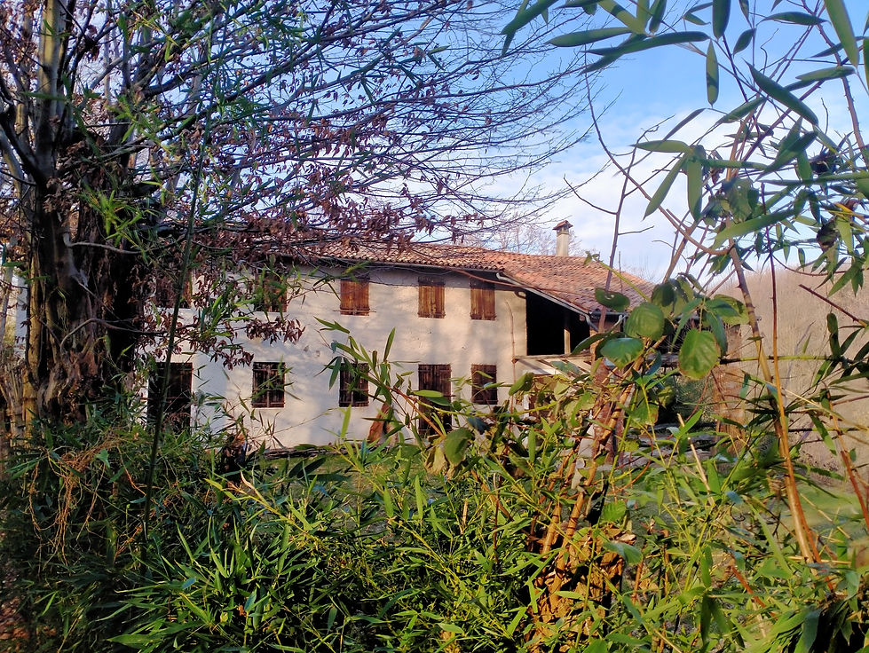 ABITAZIONE CASTELLAR.jpg