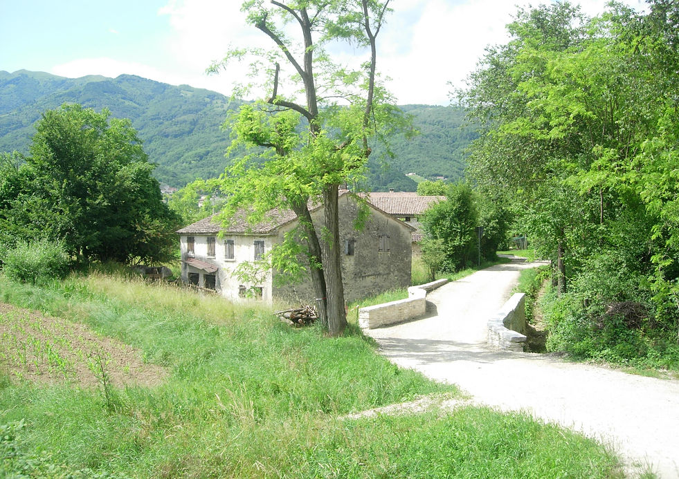 VIA SPINEDA