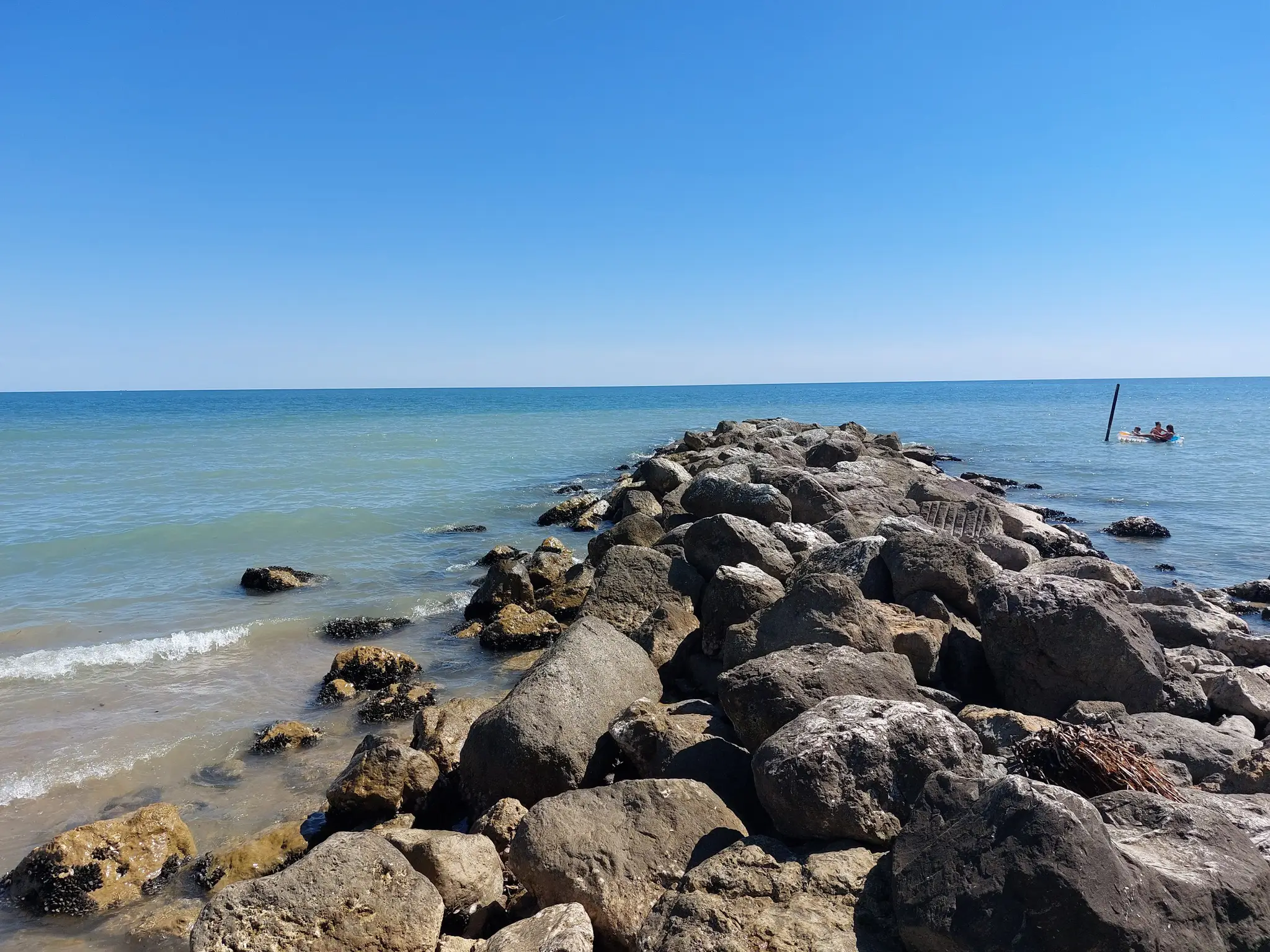 1828e05fc3d.webp