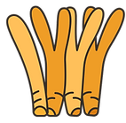 Thinking Man Nutrition