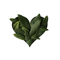 Untitled design (12).png