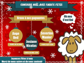 Et voilà les résultats de notre Concours de Noël 2020