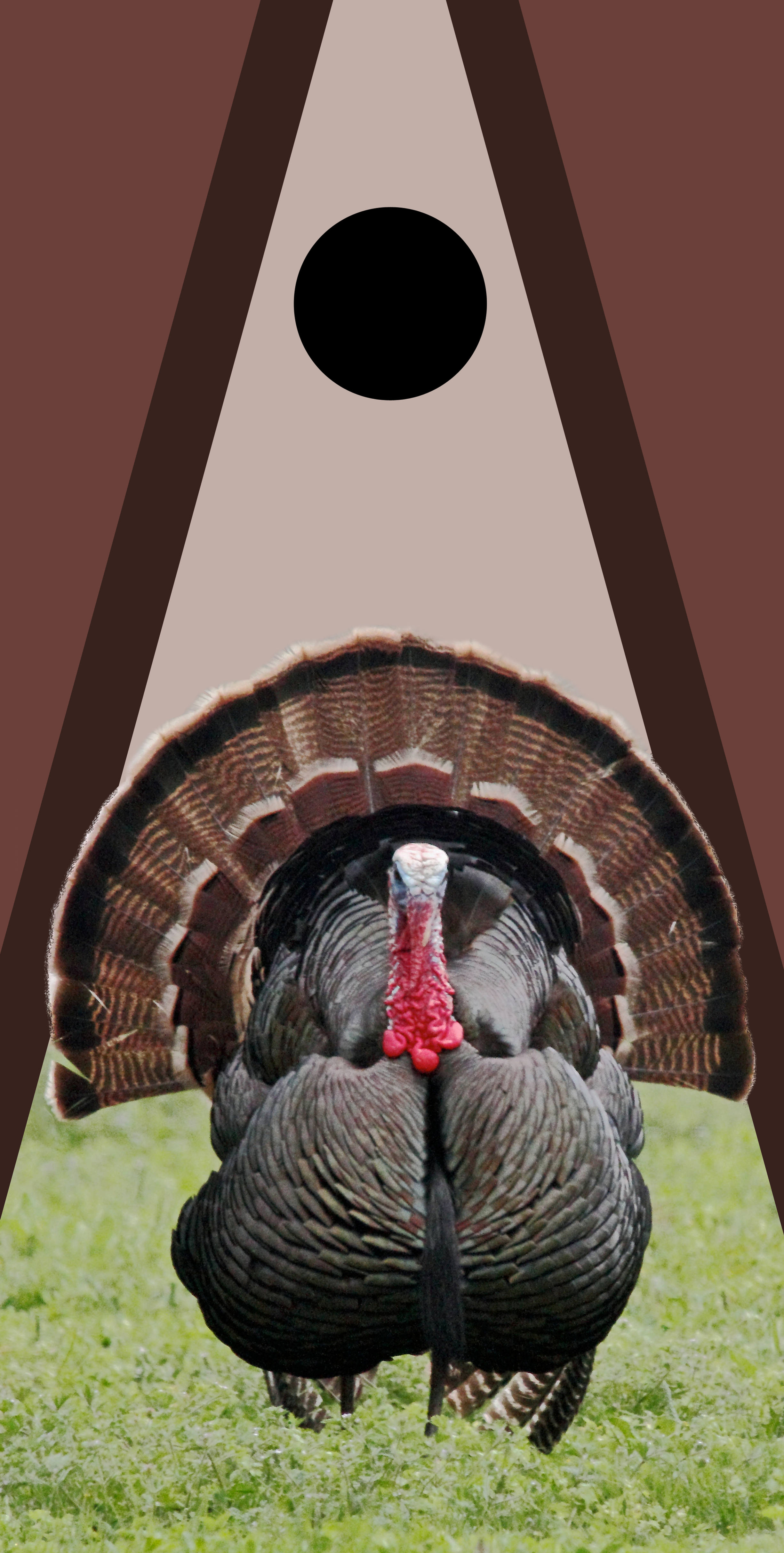 CLEARANCE Hunting & Fishing 17