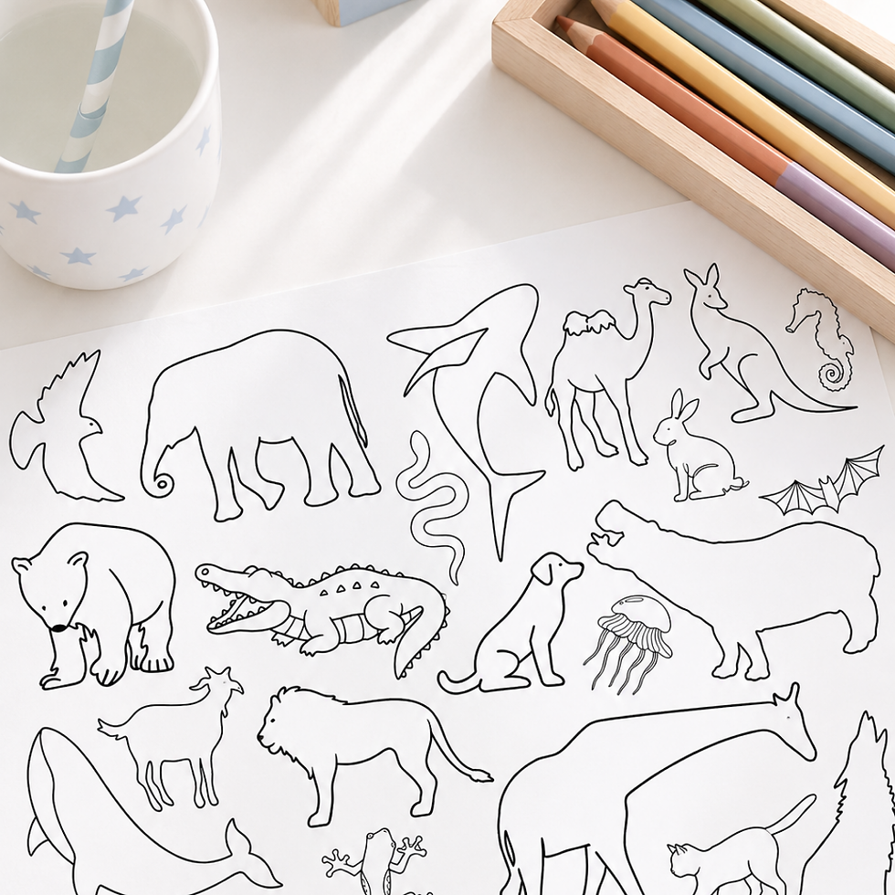 Individuales para pintar animales con lápices de colores.