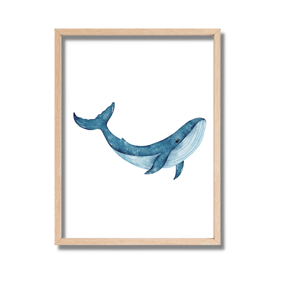 Miniatura: Cuadros de Ballenas