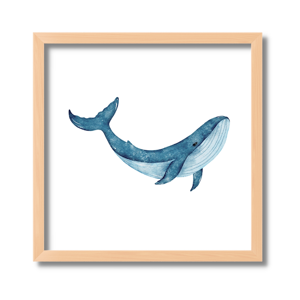 Miniatura: Cuadros de Ballenas