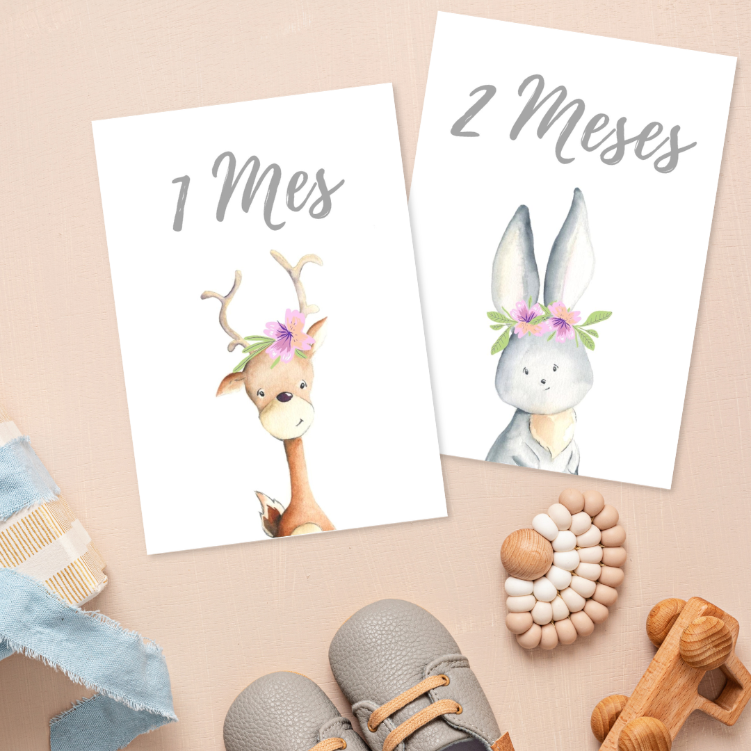 Tarjetas Meses Bebé "Animali Flori"
