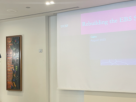 Software Dveloper Ahmed Abouzaid (left) and Technical Deputy Director for Global Informatics David Mugume (right), presenting the plan for rebuilding the EBS system and capacity building at a workshop in Cairo.