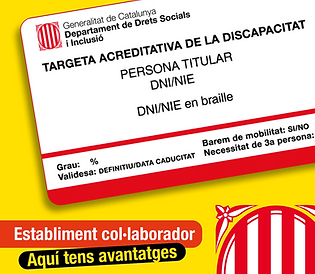 Claudia Pelegrina. Pelegrina Psicologia col·labora amb la generalitat de catalunya per facilitar l'accés a les persones amb discapacitat a la salut mental