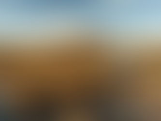 🌟Unveiling the UK’s Hidden Biodiversity Hotspots🌳