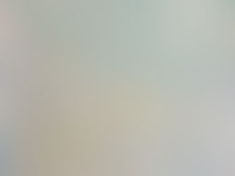 Divergently Different