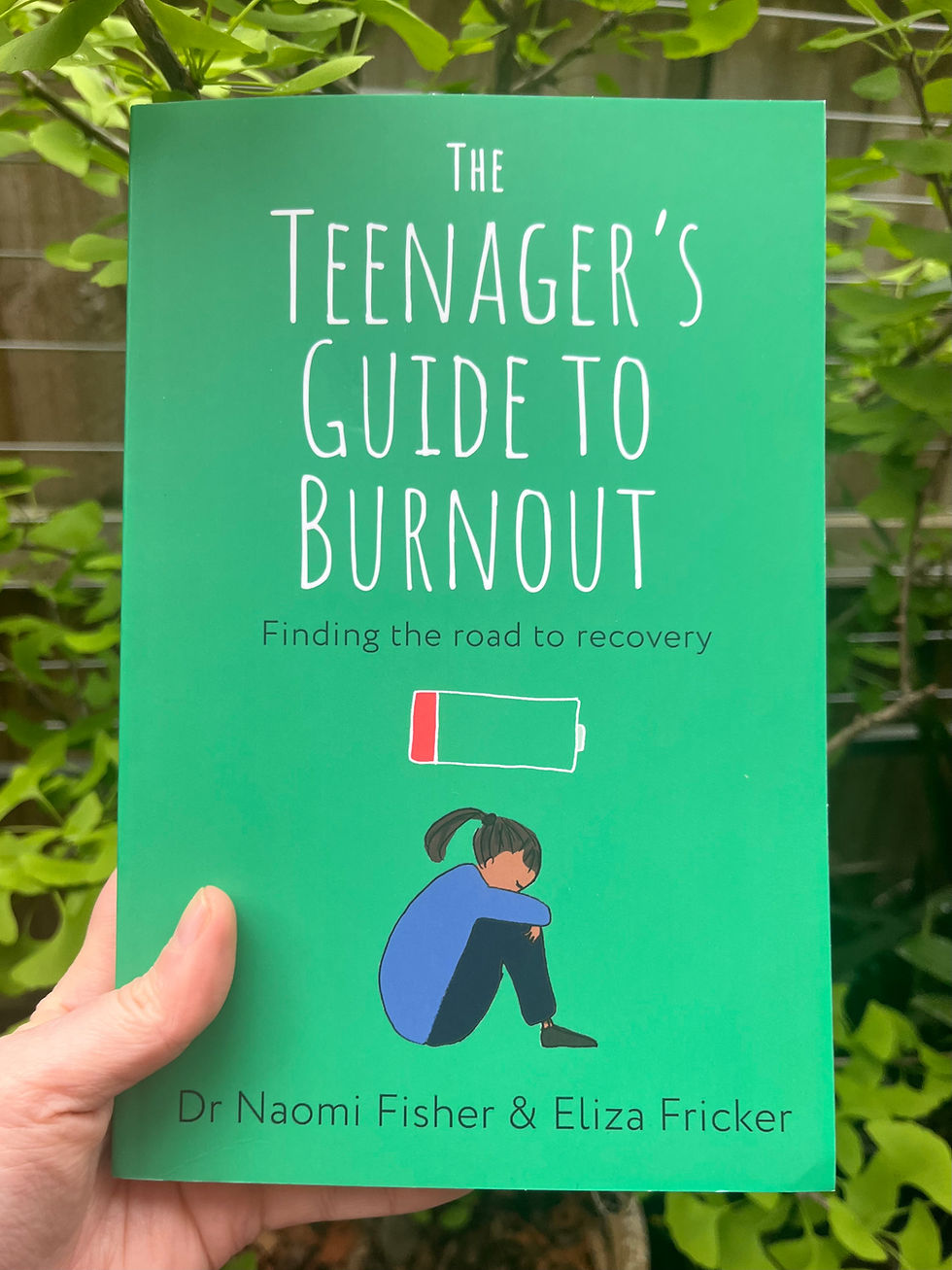 The Teenager's Guide to Burnout: Finding the Road to Recovery