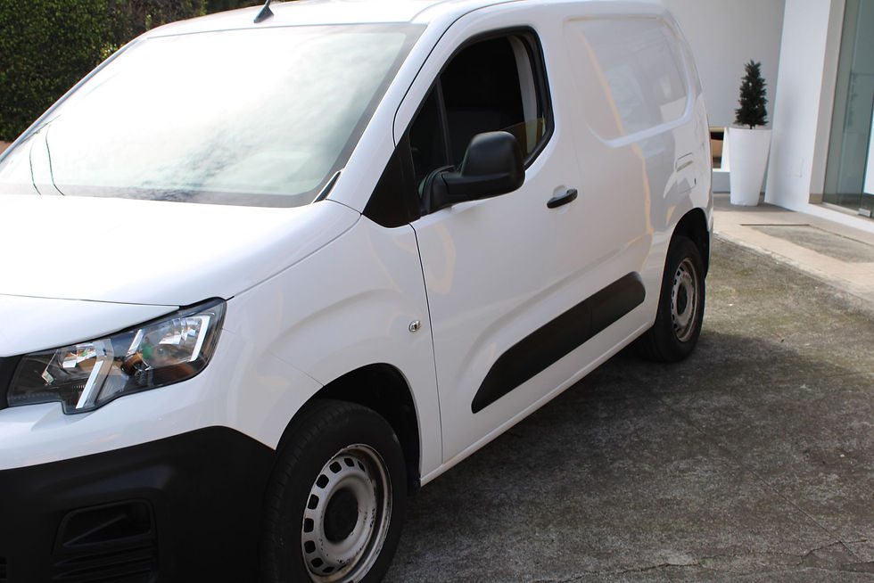 Miniatura: PEUGEOT PARTNER