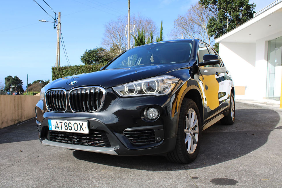 Miniatura: BMW X1