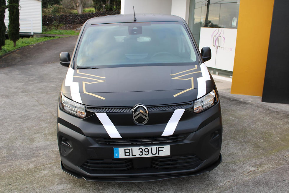 Miniatura: CITROEN BERLINGO