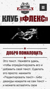 Спорт и отдых website templates – Боевые искусства