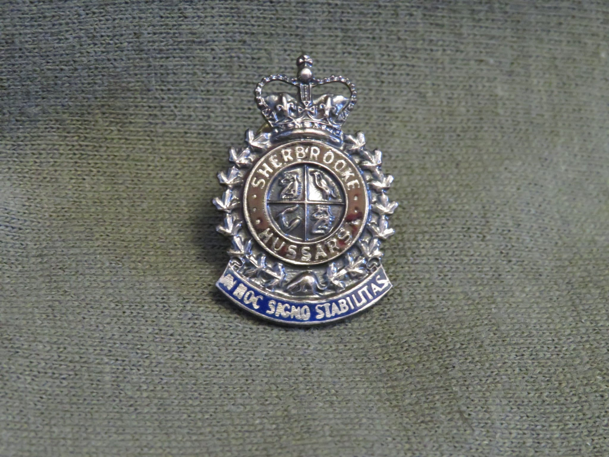 Lapel Pin