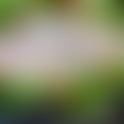 Casamentos com cardápio gourmet personalizado, Mini wedding com jantar gourmet harmonizado, Finger food sofisticado em evento intimista, Ilha gastronômica de queijos e antepastos para celebrações pequenas, Buffet gourmet exclusivo para eventos intimistas, buffet para casamentos em Curitiba, buffet finger food para casamentos em Curitiba