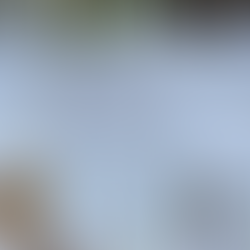 Casamentos com cardápio gourmet personalizado, Mini wedding com jantar gourmet harmonizado, Finger food sofisticado em evento intimista, Ilha gastronômica de queijos e antepastos para celebrações pequenas, Buffet gourmet exclusivo para eventos intimistas, buffet para casamentos em Curitiba, buffet finger food para casamentos em Curitiba