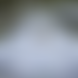 Casamentos com cardápio gourmet personalizado, Mini wedding com jantar gourmet harmonizado, Finger food sofisticado em evento intimista, Ilha gastronômica de queijos e antepastos para celebrações pequenas, Buffet gourmet exclusivo para eventos intimistas, buffet para casamentos em Curitiba, buffet finger food para casamentos em Curitiba