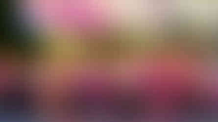 Fita rosa símbolo da campanha Outubro Rosa, Mulheres unidas na conscientização do Outubro Rosa, Exame preventivo e autocuidado no Outubro Rosa