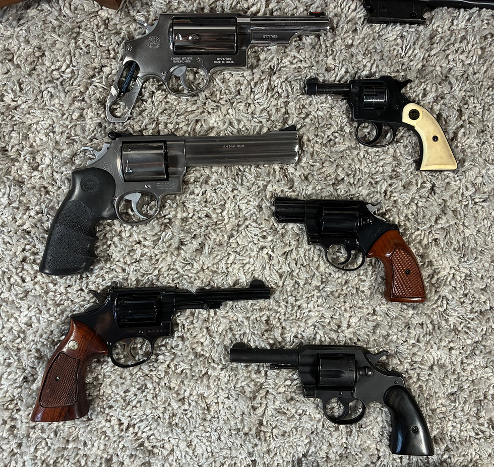 Tilles Park Handgun Collection