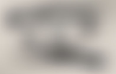 St. Louis Hills Firearm Collection