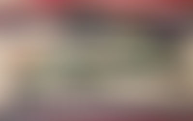 Holly Hills estate firearm appraisal of log gun collection securely transferred by MDRF Enterprises.