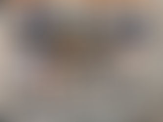 Frontenac 25 Handgun Collection