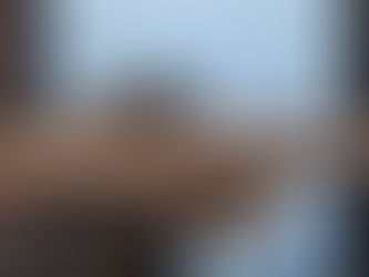 Appraisal for Ruger Pistol