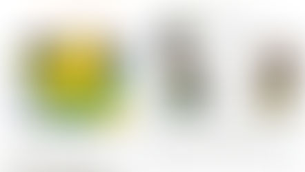 季節のはなだより　～８月　ひまわり～